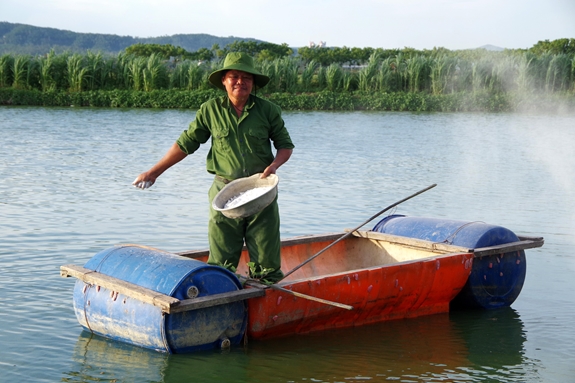 Cựu chiến binh Nguyễn Thái Thủy rắc vôi vệ sinh ao cá.